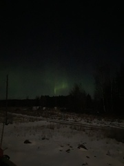 Swagger Inn 170. Autumn is here with a vengeance.  I think we'll just hide under the duvet --with HBFs-- until Spring.