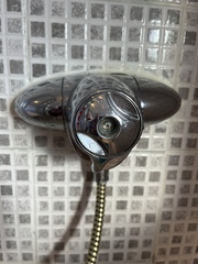 Shower cartridge or total shower replacement