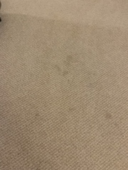 Lads judge this hotel room