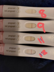 Does this one step look OK for 13dpo ?
