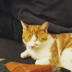 Training 20 month old not to play bite/scratch?