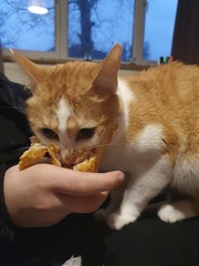 Can we have a pet appreciation thread?