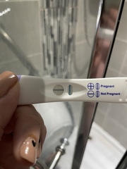 Line eyes- wondfo
