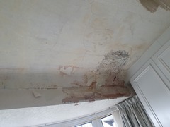 Please help.. new house and just discovered this.. (pics attached)