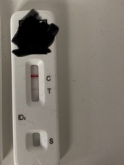 Anybody getting repeated false positives with flowflex?