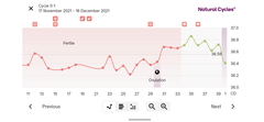 BBT Chart confusion