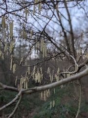 Nature Notes: the 2022 edition