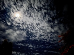 Any Witches Here? Part 16