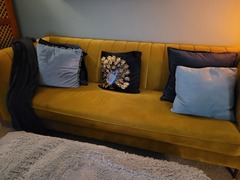 Sofa cushions