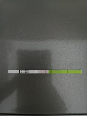 Opk test... To dtd or not to dtd??