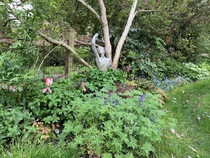 Show me your gardens for inspiration