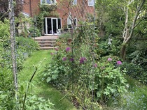 Show me your gardens for inspiration