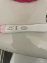 Due September 2022 - Thread #2