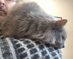 Ollie, Paws, friends and family