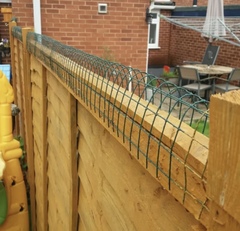 Please talk to me about cat proofing the garden