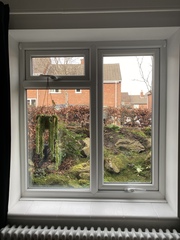What would you do with this garden?