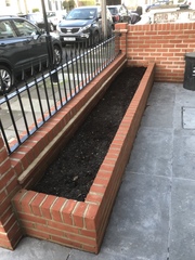 My front garden’s finished - but what shall I put in it?