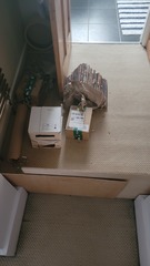 Help with my hamster please