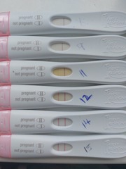Chemical Pregnancy Experiences