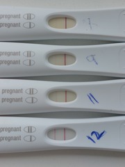 AF due today, pregnancy tests are progressing and I've had a bleed today.