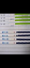 Ovulation Day Who's With Me?