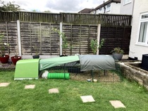 Rabbits - indoors or outdoors?