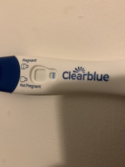 Another line eyes question?!