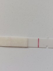 8dpo FRER ridiculous vvfl can anyone else see it ?
