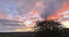 Any Witches Here? Part 16