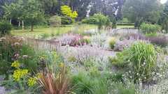 Metal border edging - sharp/safe? Or how about wood?