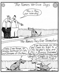 …to ask what’s the best dog name you’ve ever heard?