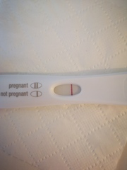 Ttc after miscarriage thread 2 ✨🌈🤞