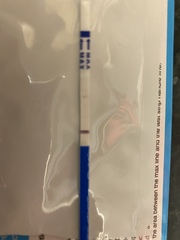 Pregnant