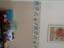 Can anyone help me choose a colour for kitchen cabinets.