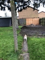 Ideas and suggestions please!