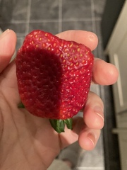 Posting photos of everything you eat 2022 (not a diet)