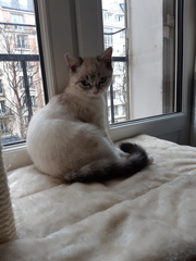 Can we have a ‘I love my beautiful cats’ thread?!