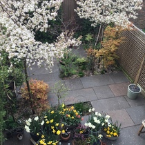 Show me your gardens for inspiration