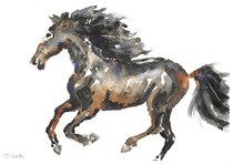 Request for constructive feedback on these watercolours please!