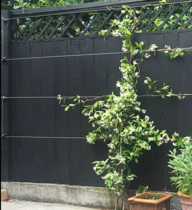 How to hide a fence