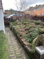 What would you do with this garden?