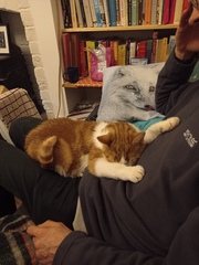 Training 20 month old not to play bite/scratch?
