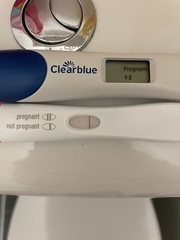 Due September 2022 - Thread #2