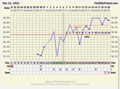 Understanding my bbt chart