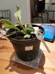 What have I dug up here?