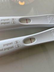 FRER EVAP