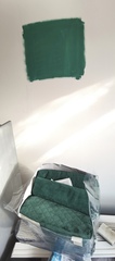 Please vote quickly which paint goes better with these curtains pls