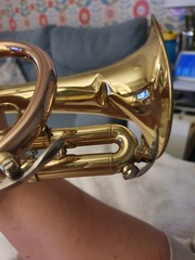 Should they pay to replace it?