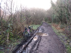 2022: Run, walk, cycle, swim, etc 1000 km/miles or whatever!