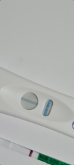 ✨ CD10 ttc after loss 🌈 who's with me for the new year?